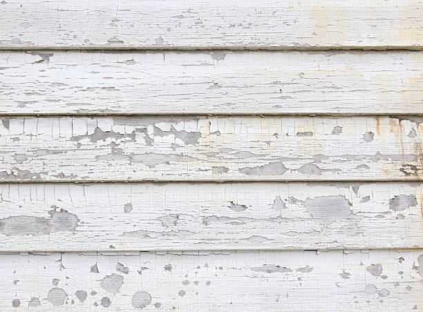 Best Dumpster Rental Services  in Sidney, MT